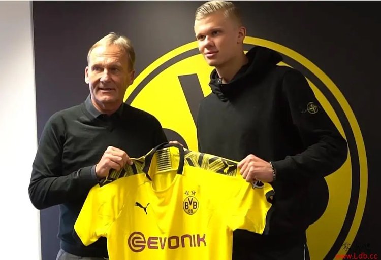 开赛！桐庐上演马术“巅峰对决”（赛事打响！桐庐上演马术巅峰之战）